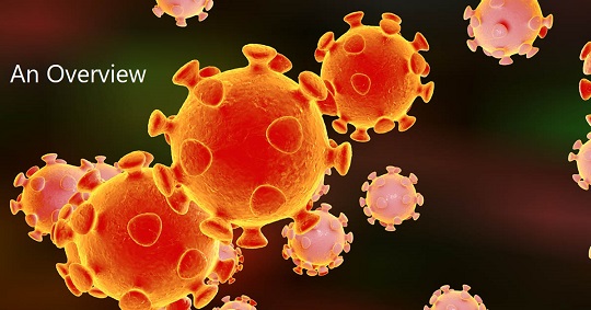 Corona Virus: An Overview
