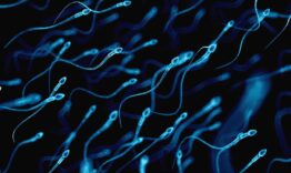 Sperm count - healthsansar.com